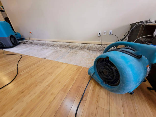 Professional Water Damage Repair technician working in Hebron, IL